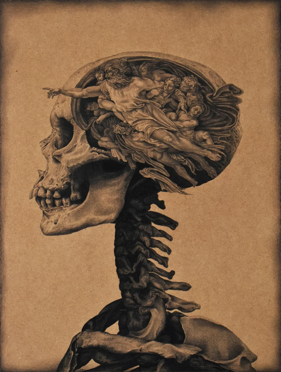 The Bicameral Mind, a detailed anatomical head drawing